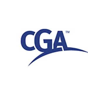 A hands-on financial accountant with more than 8 years of experience in accounting and tax of small business