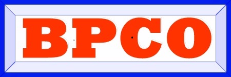 Blue Pillar Company: Business consultant, Accounting, Payroll and Tax Services