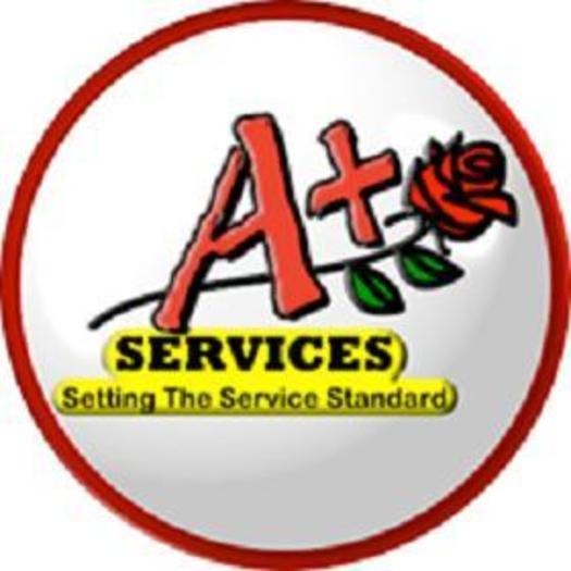 A+ Services